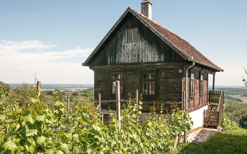 Regije, podregije i vinogorja Hrvatske