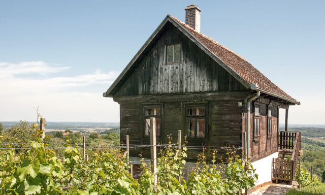 O Svetom Ivanu Zelini i njezinom vinogorju